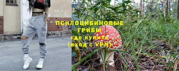 экстази Покачи