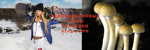 экстази Покачи