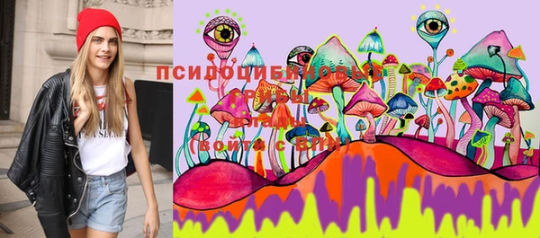 прущие грибы Покровск
