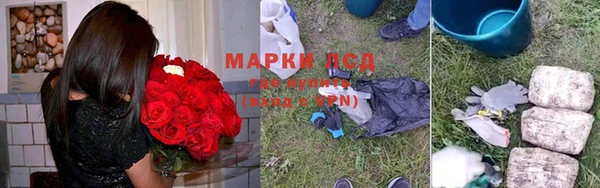 прущие грибы Покровск